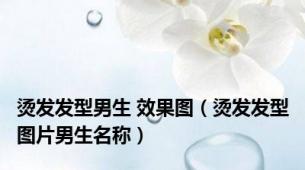 烫发发型男生 效果图（烫发发型图片男生名称）