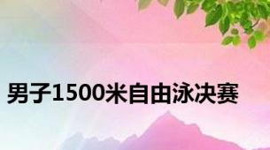 男子1500米自由泳决赛