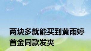 两块多就能买到黄雨婷首金同款发夹