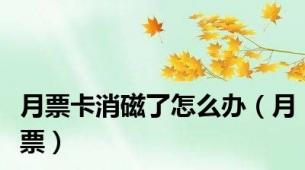 月票卡消磁了怎么办（月票）