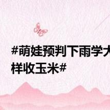 #萌娃预判下雨学大人模样收玉米#