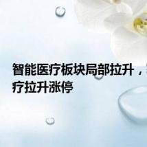 智能医疗板块局部拉升，塞力医疗拉升涨停