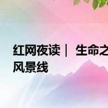 红网夜读｜ 生命之旅的风景线