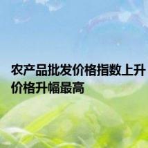 农产品批发价格指数上升 白萝卜价格升幅最高