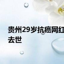 贵州29岁抗癌网红大飞去世