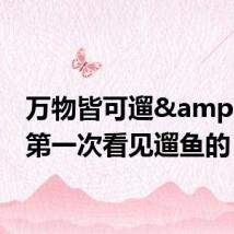万物皆可遛&#32;第一次看见遛鱼的