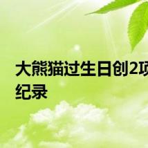 大熊猫过生日创2项世界纪录