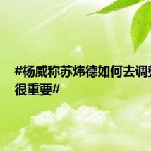 #杨威称苏炜德如何去调整心态很重要#