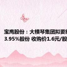宝鹰股份:大横琴集团拟要约收购13.95%股份 收购价1.6元/股