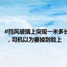 #挡风玻璃上突现一米多长大蛇# ,司机以为要掉到脸上