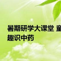 暑期研学大课堂 童心童趣识中药