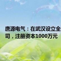 唐源电气:在武汉设立全资子公司,注册资本1000万元