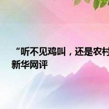 “听不见鸡叫，还是农村吗？”新华网评