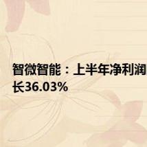智微智能:上半年净利润同比增长36.03%