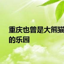 重庆也曾是大熊猫生活的乐园