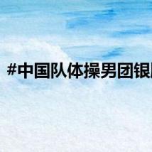 #中国队体操男团银牌#