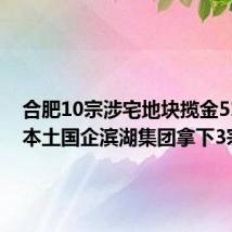 合肥10宗涉宅地块揽金51亿元 本土国企滨湖集团拿下3宗