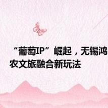“葡萄IP”崛起，无锡鸿山解锁农文旅融合新玩法