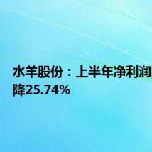 水羊股份:上半年净利润同比下降25.74%