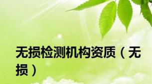 无损检测机构资质（无损）