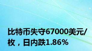 比特币失守67000美元/枚，日内跌1.86%