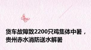 货车故障致2200只鸡集体中暑，贵州赤水消防送水解暑