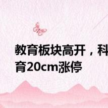 教育板块高开，科德教育20cm涨停