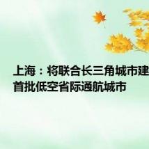 上海：将联合长三角城市建设全国首批低空省际通航城市