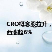 CRO概念股拉升，美迪西涨超6%