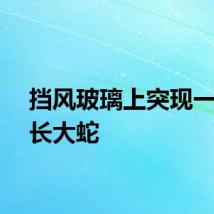 挡风玻璃上突现一米多长大蛇