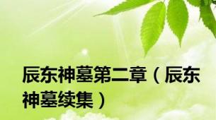 辰东神墓第二章（辰东神墓续集）