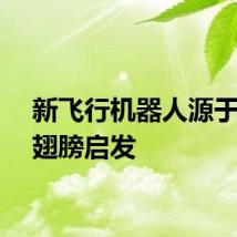 新飞行机器人源于甲虫翅膀启发