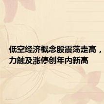 低空经济概念股震荡走高，宗申动力触及涨停创年内新高