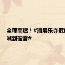 全程高燃!#潘展乐夺冠解说员喊到破音#