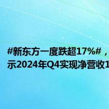 #新东方一度跌超17%#,财报显示2024年Q4实现净营收1