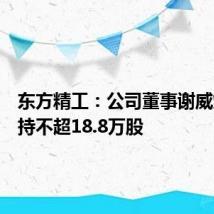 东方精工：公司董事谢威炜拟减持不超18.8万股