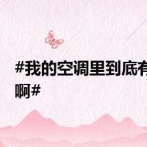 #我的空调里到底有谁在啊#