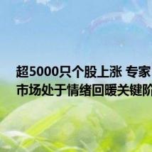 超5000只个股上涨 专家:A股市场处于情绪回暖关键阶段