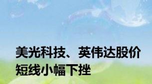 美光科技、英伟达股价短线小幅下挫