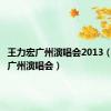 王力宏广州演唱会2013（王力宏广州演唱会）