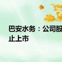 巴安水务：公司股票终止上市