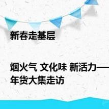 新春走基层|烟火气 文化味 新活力——新春年货大集走访