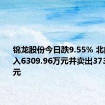 锦龙股份今日跌9.55% 北向资金买入6309.96万元并卖出3737.63万元