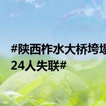 #陕西柞水大桥垮塌仍有24人失联#