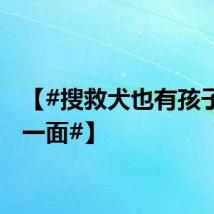 【#搜救犬也有孩子气的一面#】