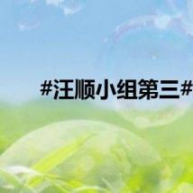 #汪顺小组第三#