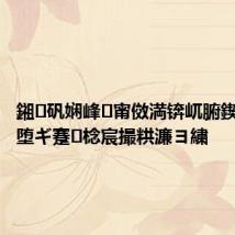 鎺㈣矾娴峰甯傚満锛屼腑鍥芥柊鑼堕ギ蹇棯宸撮粠濂ヨ繍
