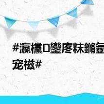 #瀛欓鑾庝粖鏅氬崐鍐宠禌#