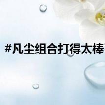 #凡尘组合打得太棒了#