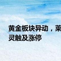 黄金板块异动，莱绅通灵触及涨停